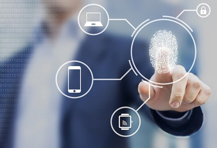 fingerprint identity authentication fingerprint identity authentication