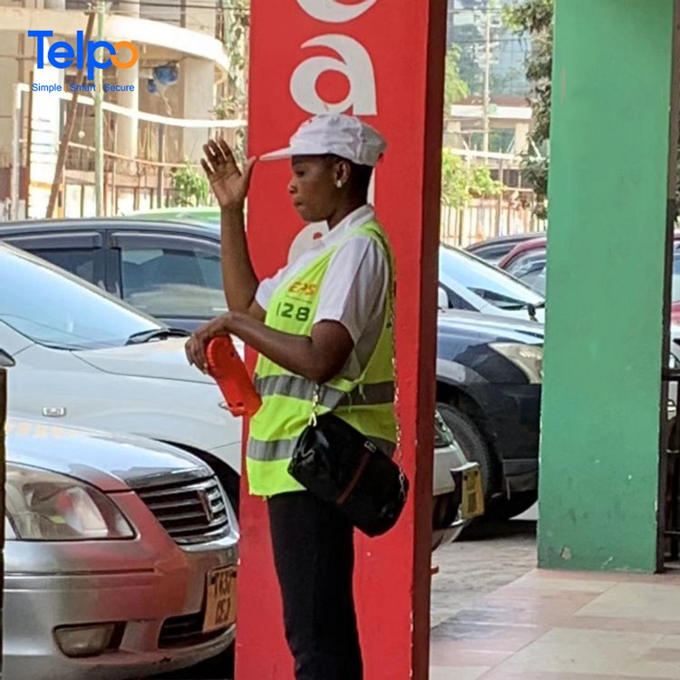 parking management In africa parking management In africa