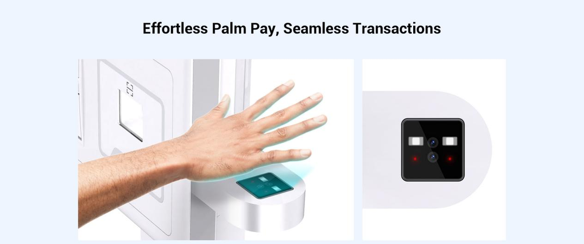 Palm Print Recognition Device