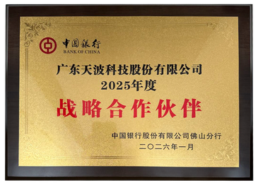 CHINA BANK OF CHINA STRATIGIC Partner